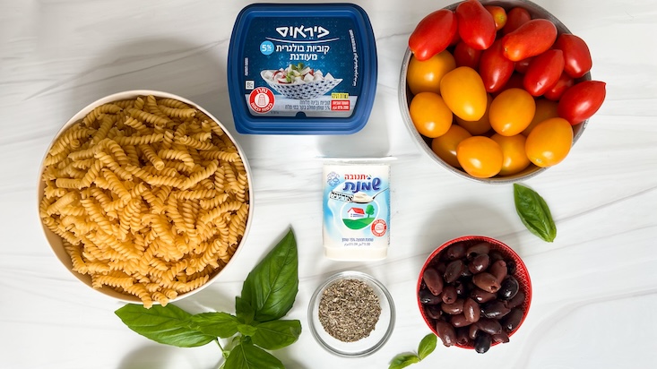 שלב 1 - מרכיבים