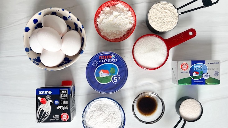 שלב 1 - מצרכים: ביצים, גבינה לבנה, שמנת מתוקה חמאה, סוכר ומצרכים נוספים.