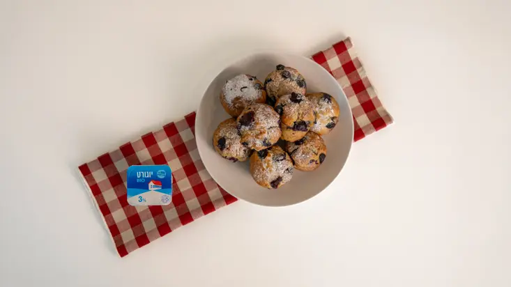 מאפינס אוכמניות ויוגורט.