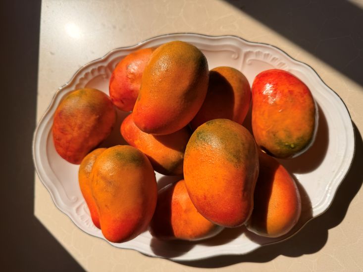 קינוחי פירות קפואים מנגו