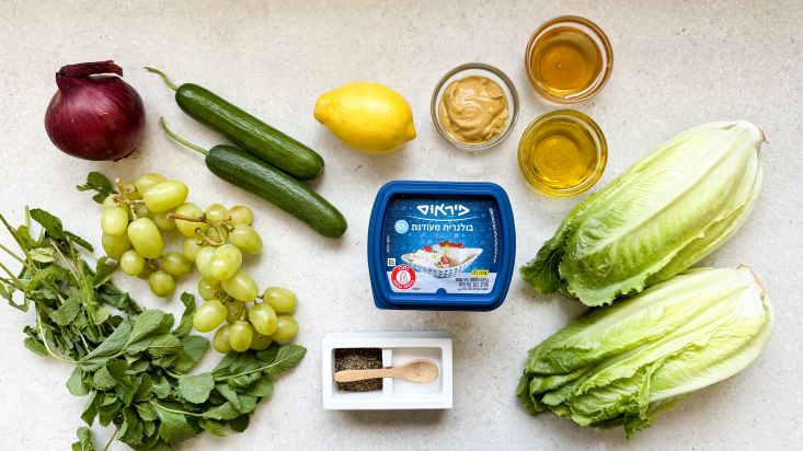 מצרכים: חסות, מלפפונים, ענבים ירוקים, בצל סגול, צרור נענע, בולגרית מעודנת, חרדל, דבש, שמן זית, לימון, מלח ופלפל שחון טחון.
