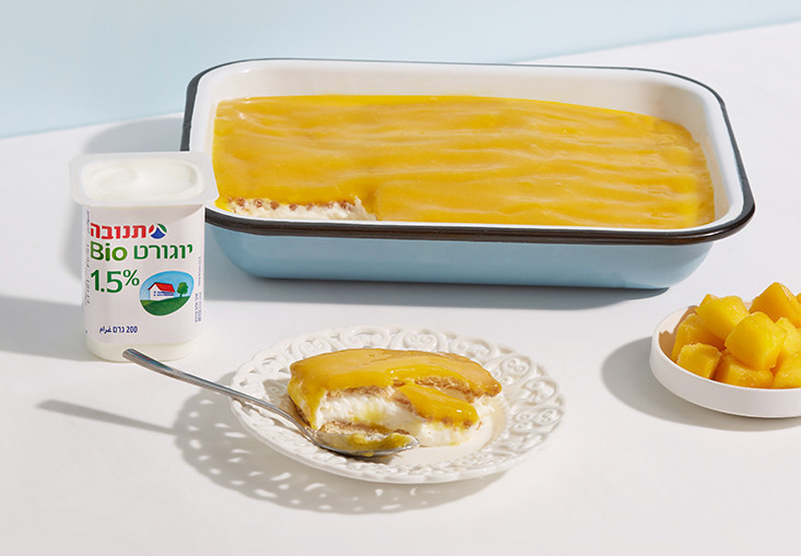 עוגת ביסקוויטים עם יוגורט ורוטב מנגו